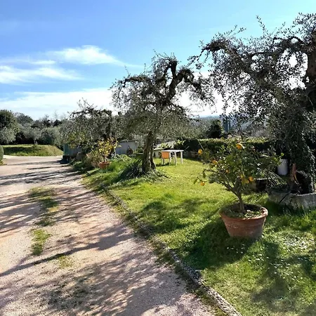 Monte Felice *